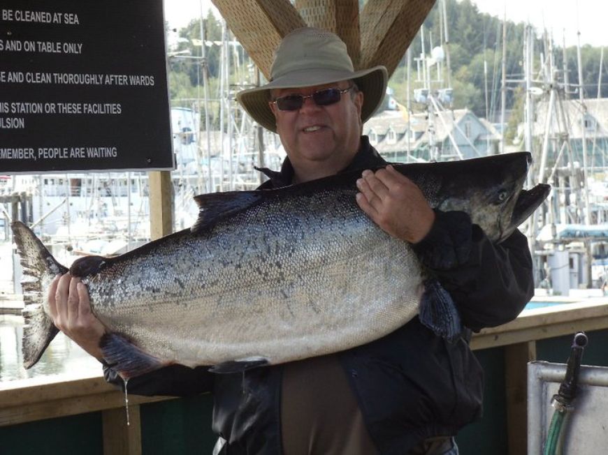 roydawe50lbs