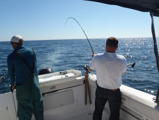 Aug31Fishon